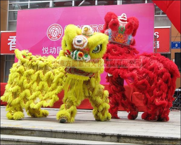 舞狮节目表演